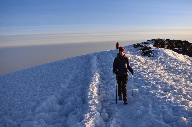 Mt Kilimanjaro 6 days Marangu route hike - Day 6: steady descent through moorland and forest back to Marangu