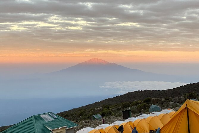 Mt. Kilimanjaro Climb - 8 Day Lemosho Route - Lava Tower and the Senecio Forest descent to Barranco Camp