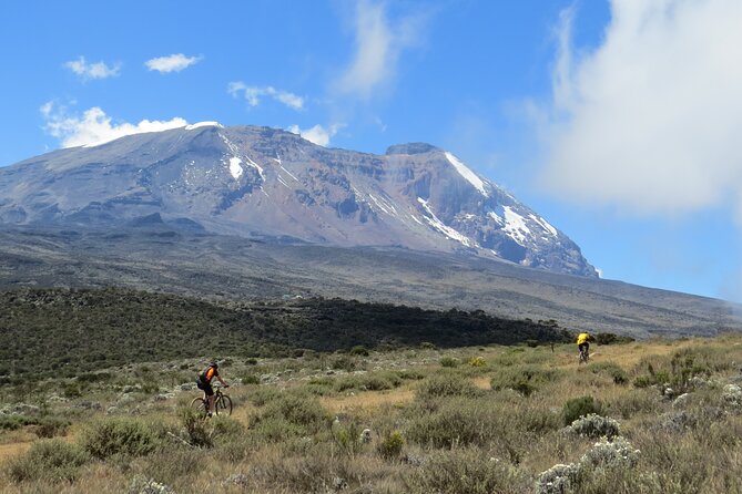 Mt Kilimanjaro Climb - 8 days Lemosho - Day 8, your knees meet gravity and you win anyway