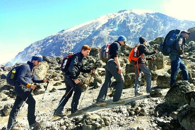 Mt Kilimanjaro Climbing; 6 Days Machame route - Final descent to Mweka: certificates and a return to Moshi or Arusha