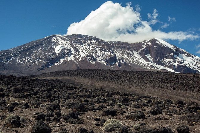 Mt Kilimanjaro Climbing; 6 Days Machame route - Day 2’s moorland shift: Shira Camp views and Shira Caves