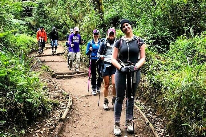 Mt Kilimanjaro Day Hike - Key highlights