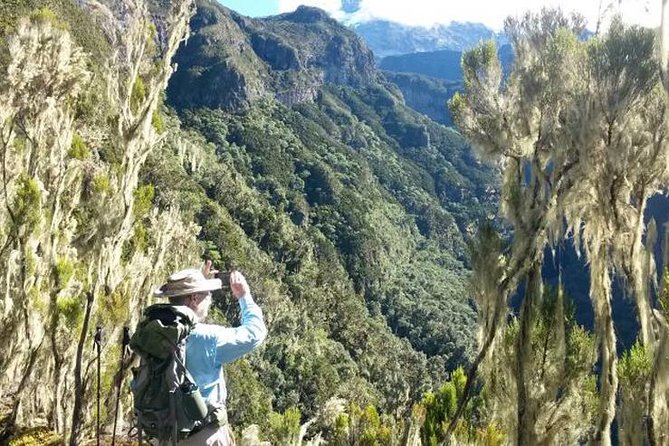 Mt Kilimanjaro Day Hike - Why this Kilimanjaro day hike feels special from Moshi