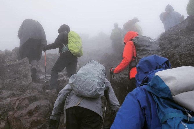 Mt. Kilimanjaro Day Hiking - Key Things to Know Before You Go
