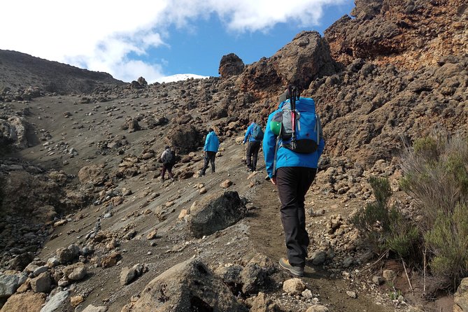 Mt. Kilimanjaro Day Hiking - Descending Kilimanjaro: Why the Second Half Feels Different