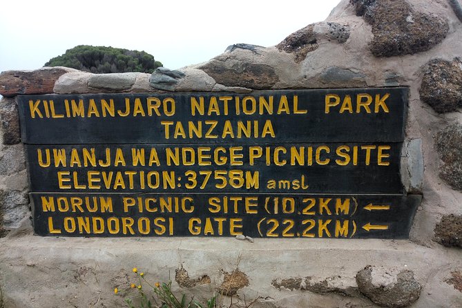 Mt. Kilimanjaro Day Hiking - Lunch Break With Wildlife Around: Refueling Without Killing the Vibe