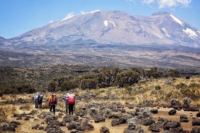 Mt.kilimanjaro Lemosho Route - Barranco Wall to Karanga: The Art of Not Rushing (Day 4)