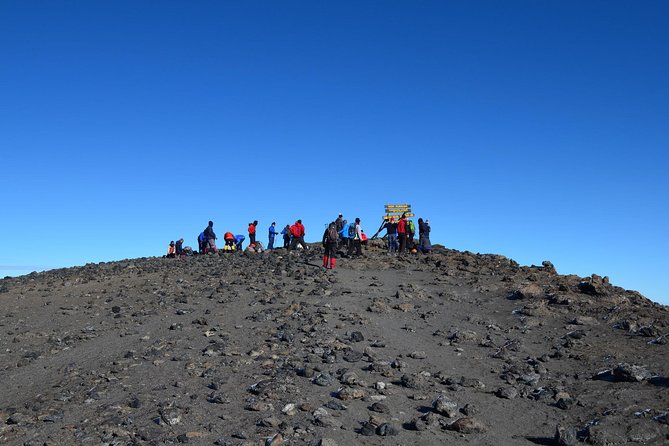 Mt.kilimanjaro Lemosho Route - Night Summit to Uhuru Peak, Then Down to Millennium (Day 6)
