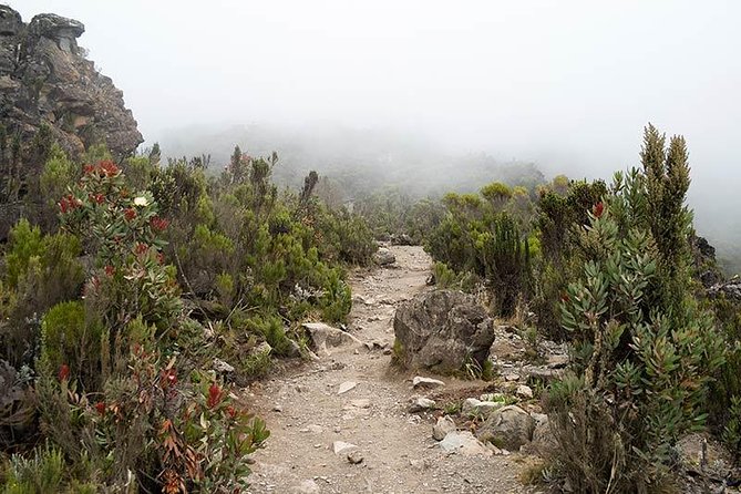 Mt.kilimanjaro-machame Route - From Moshi to Machame Gate: the trek starts with real coordination
