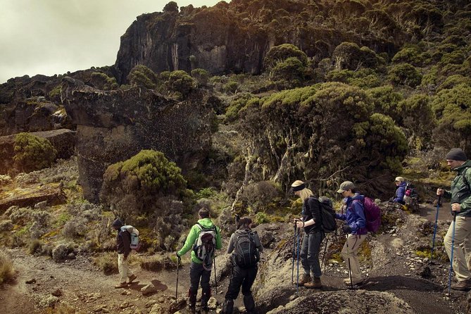 Mt.kilimanjaro-machame Route - Day 2, Shira Camp and the Lava Tower acclimatization hike: altitude training, not just hiking