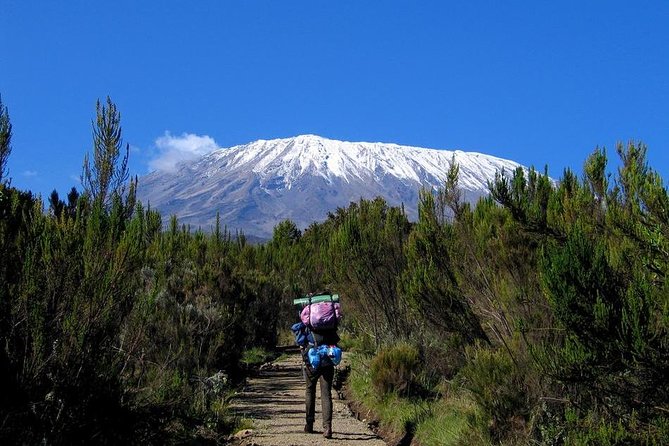 Mt.kilimanjaro-machame Route - Day 1, Machame Gate to Machame Camp: rainforest hiking with wet-weather reality
