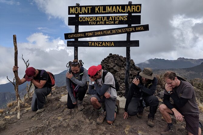Mt. Kilimanjaro: Shira plateau to Cathedral point 3872m Day hike - The drive up and the early hike: plantation forest to rain forest