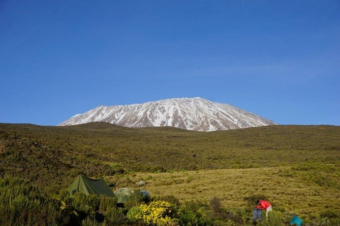 Mt. Kilimanjaro: Shira plateau to Cathedral point 3872m Day hike - Price and value: what $320 gets you
