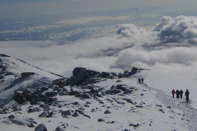 Mt Kilimanjaro Trek, 6 Days - Umbwe Route - Price and value for a 6-day private climb from Moshi