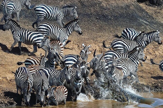 Multi-Day Camping Safari Experience in Arusha - Lake Manyara Finish: Birds, Flamingos, and the Rift Valley Wall
