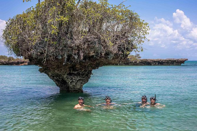 Nakupenda Island Snorkeling Sea trip & Lunch W/Transfer -Zanzibar - Transfers, Timing, and Group Size: Why This Feels Manageable
