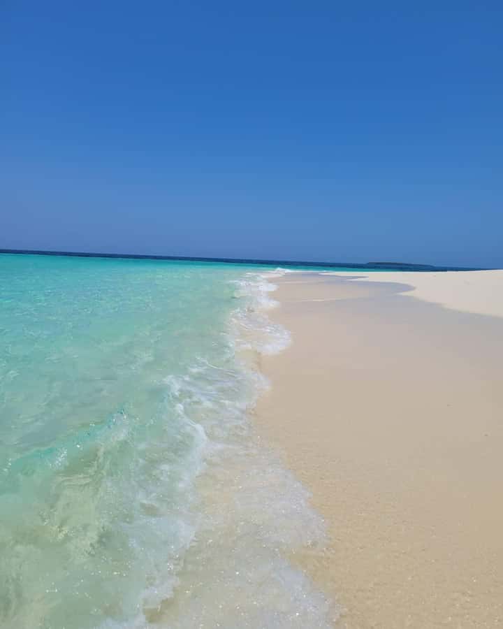 Nakupenda sandbank and stone town - Guide Mohammed and the Small Details That Make It Work