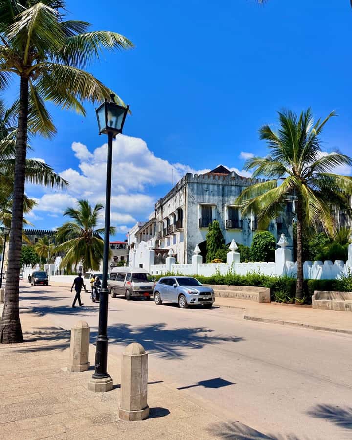 Nakupenda sandbank and stone town - Practical Tips for a Smooth Nakupenda Plus Stone Town Day