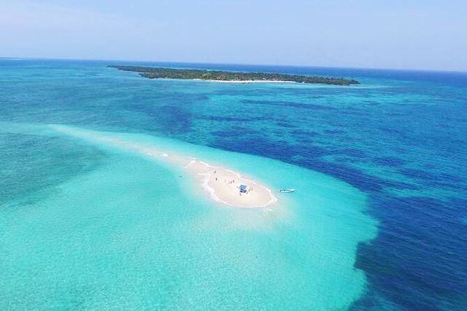 Nakupenda SandBank & Prison Island (Changuu Island) - Snorkeling around Prison Island: corals, tropical fish, and starfish time