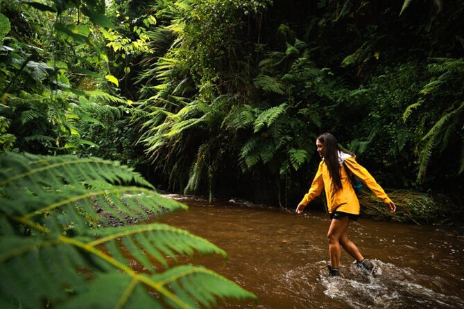 Napuru Waterfalls - Why Napuru Waterfall Feels Like a Reset in Arusha
