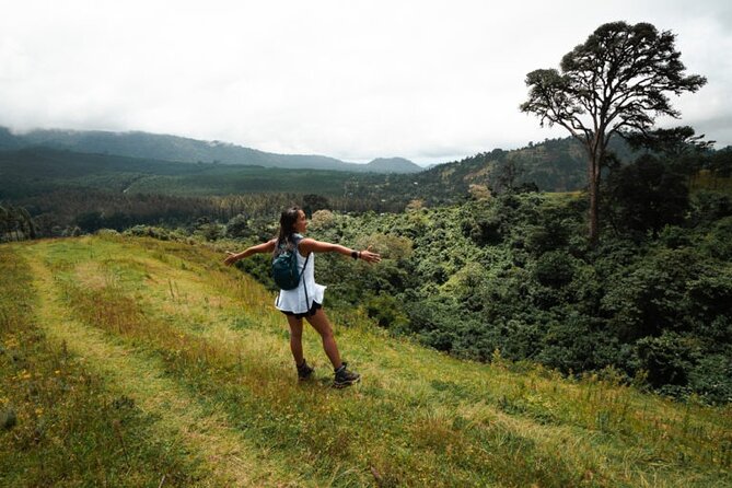 Napuru Waterfalls - Lunch Box on the Trail: Fueling Without Overpacking