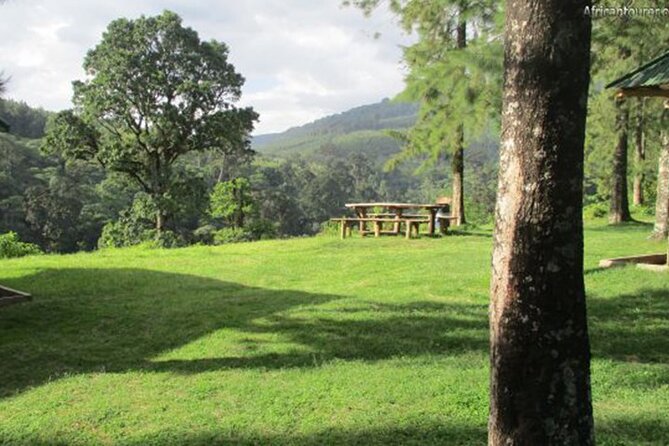 Napuru Waterfalls - Napuru Waterfall: Cooling Off, Photos, and Quiet Time