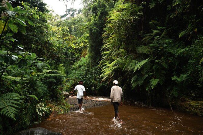 Napuru Waterfalls - What the Best Reviews Teach You About the Day