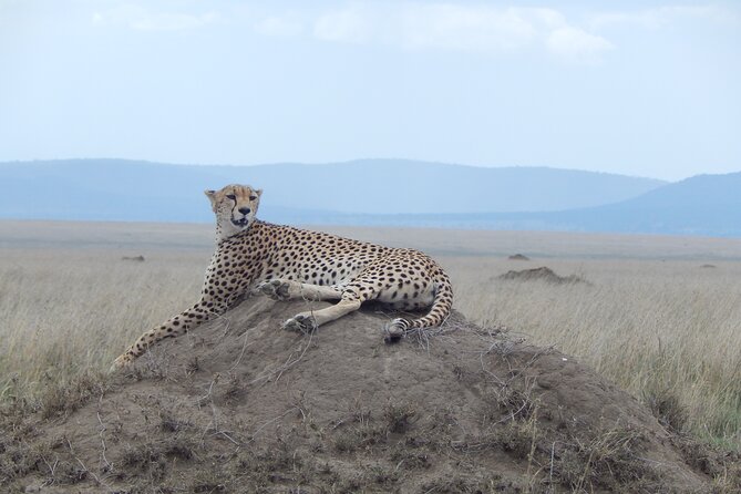 Ngorongoro Adventure Day Tour from Arusha - Karatu Stretch Break: Why a Short Stop Still Matters
