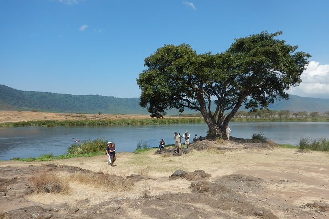 Ngorongoro Adventure Day Tour from Arusha - Descending 2,000 Feet: What the Crater Floor Does to Your Sightlines