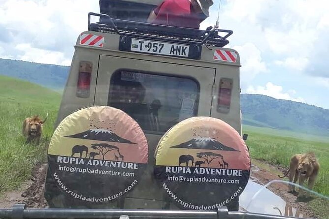 Ngorongoro Crater Day Trip - The small group and air-conditioned vehicle reality check