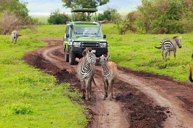 Ngorongoro Crater Day Trip - Price and value: is $325 really “worth it” for one day?