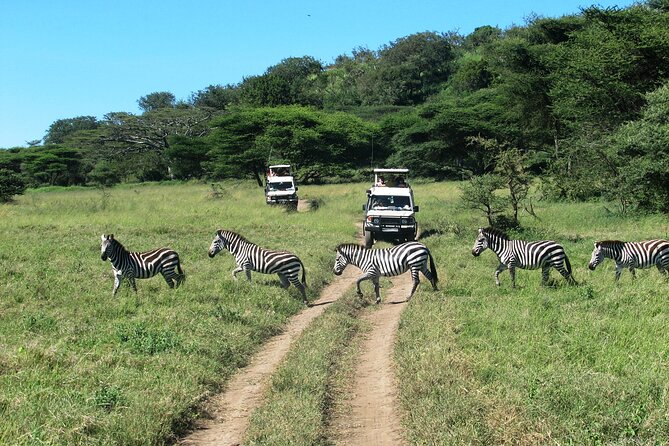 Ngorongoro Crater Day Trip – Shared Group Safari - Lake Magadi flamingos, hippo pools, and bird time that actually pays off