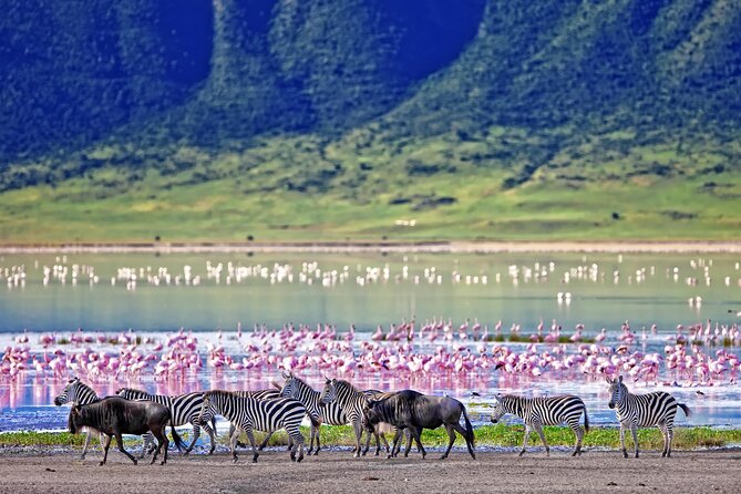 Ngorongoro Crater Day Trip – Shared Group Safari - Maasai culture encounter inside the Ngorongoro Conservation Area