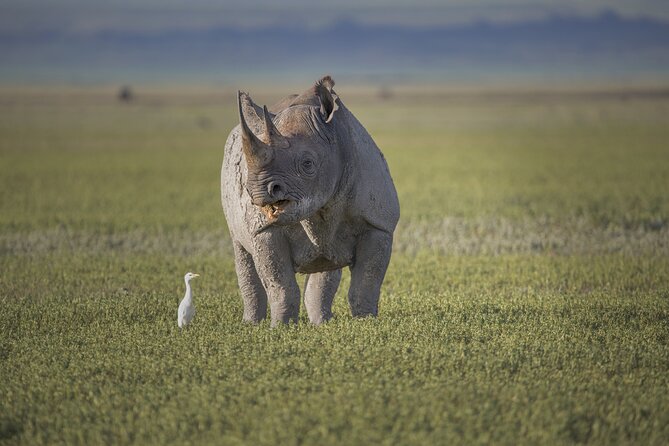Ngorongoro Crater Day Trip – Shared Group Safari - Lunch timing, and why it matters more than you think