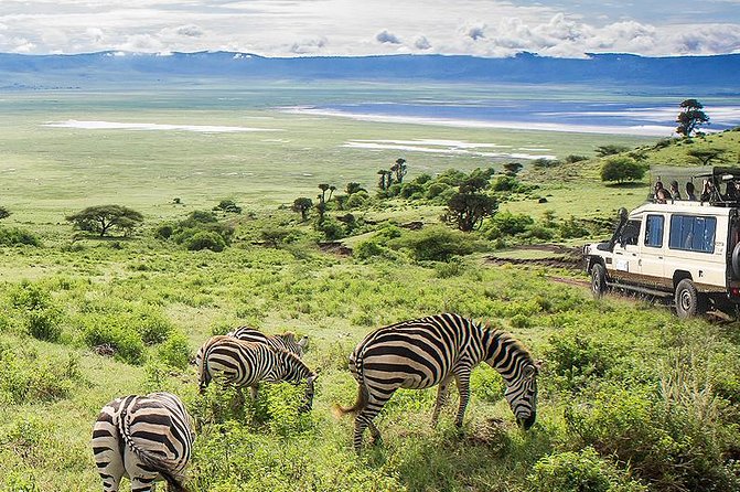 Ngorongoro Crater Exclusive: A Journey into Africa’s Eden - Afternoon Viewing and the Scenic Ascent Back to Arusha
