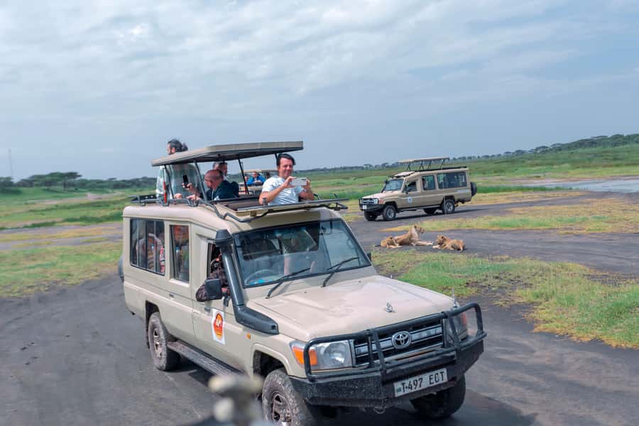 Ngorongoro Crater: Full-Day Safari Tour - Entering Ngorongoro with rim views that set the mood