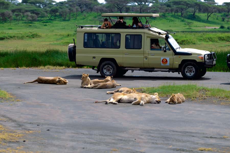 Ngorongoro Crater: Full-Day Safari Tour - The UNESCO caldera, explained in plain language