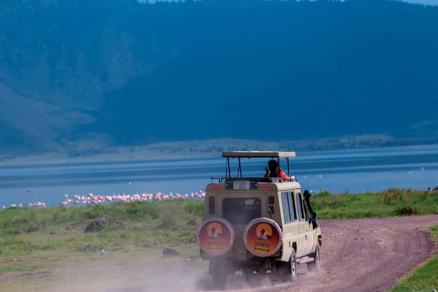 Ngorongoro Crater: Full-Day Safari Tour - Price and value: is $291 per person fair?