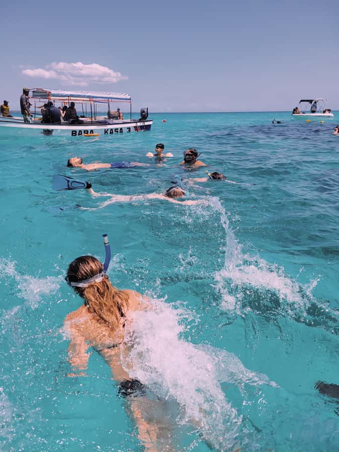 Nungwi: Dolphins,snokerlling &/or sunset cruising tour - The Dhow Sunset Cruise from Nungwi: Traditional Music, Drinks, and Slow Views