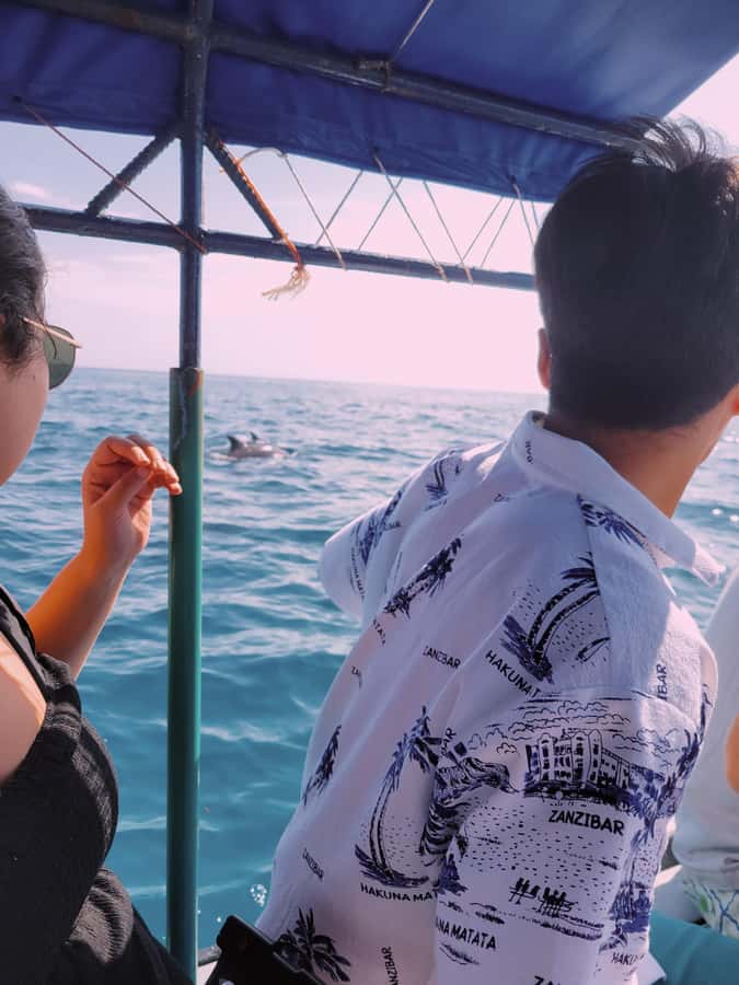 Nungwi: Dolphins,snokerlling &/or sunset cruising tour - Price and Value: What $30 Covers, and Where You Might Spend Extra