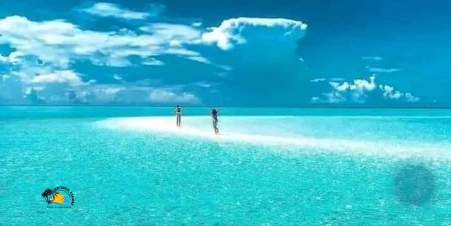 Nungwi: Mnemba Atoll Dolphins Tour with Snacks | Half-day - Snorkeling Mnemba Atoll reefs: what you might see in the water