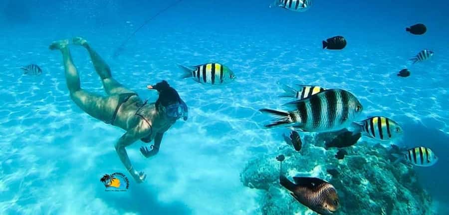 Nungwi: Mnemba Atoll Dolphins Tour with Snacks | Half-day - What’s included on board: gear, life jackets, fruits, and soft drinks