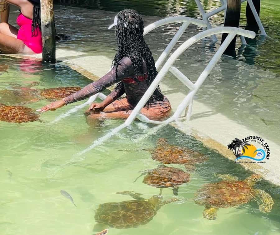 Nungwi: Swimming with Turtles at The Lagoons Zanzibar - Key things to know before you go