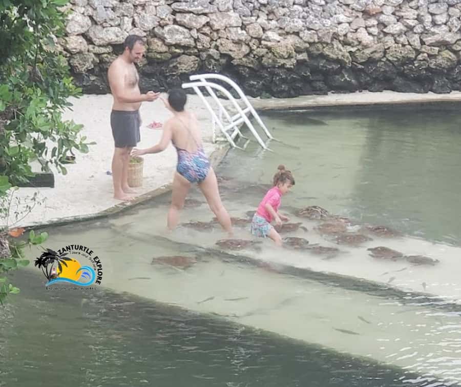 Nungwi: Swimming with Turtles at The Lagoons Zanzibar - Four lagoons in a 2-hour tour: why the pacing works