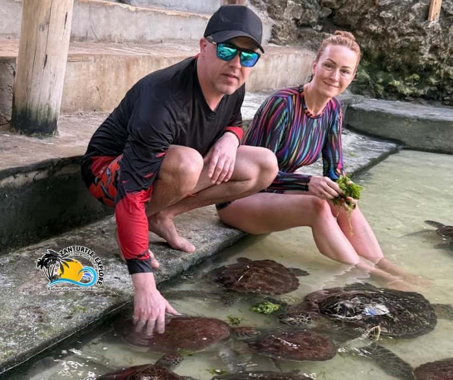 Nungwi: Swimming with Turtles at The Lagoons Zanzibar - What you pay for: entry, guide, transfers, and turtle time
