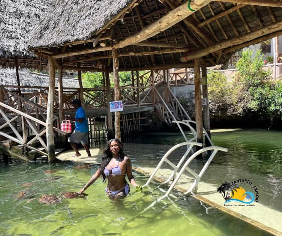 Nungwi: Swimming with Turtles at The Lagoons Zanzibar - Practical tips that make the swim easier