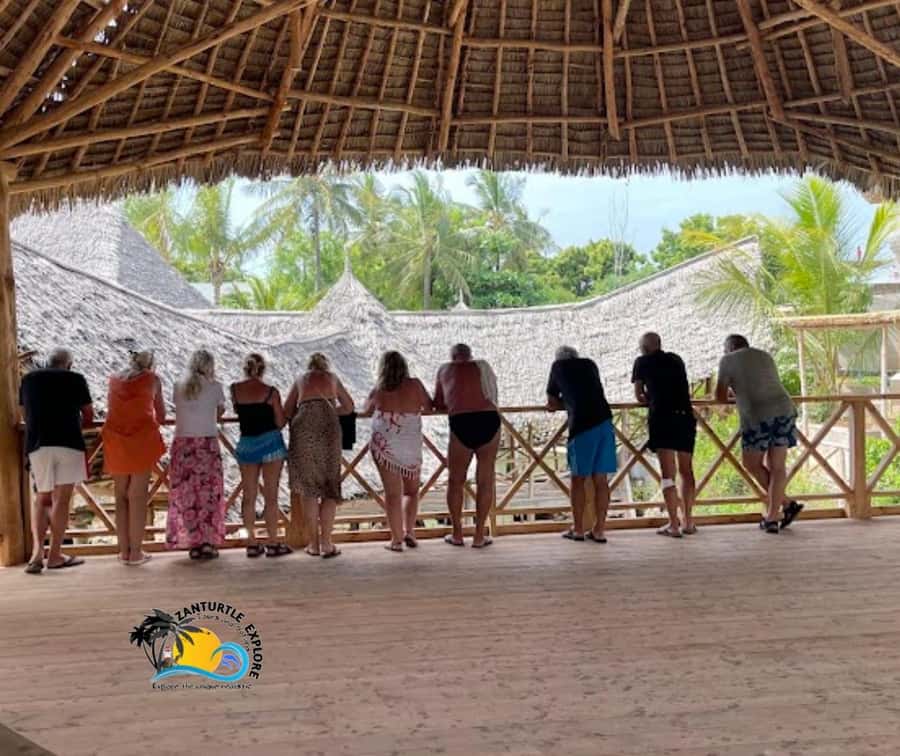Nungwi: Swimming with Turtles at The Lagoons Zanzibar - Who this tour is perfect for, and who might not love it