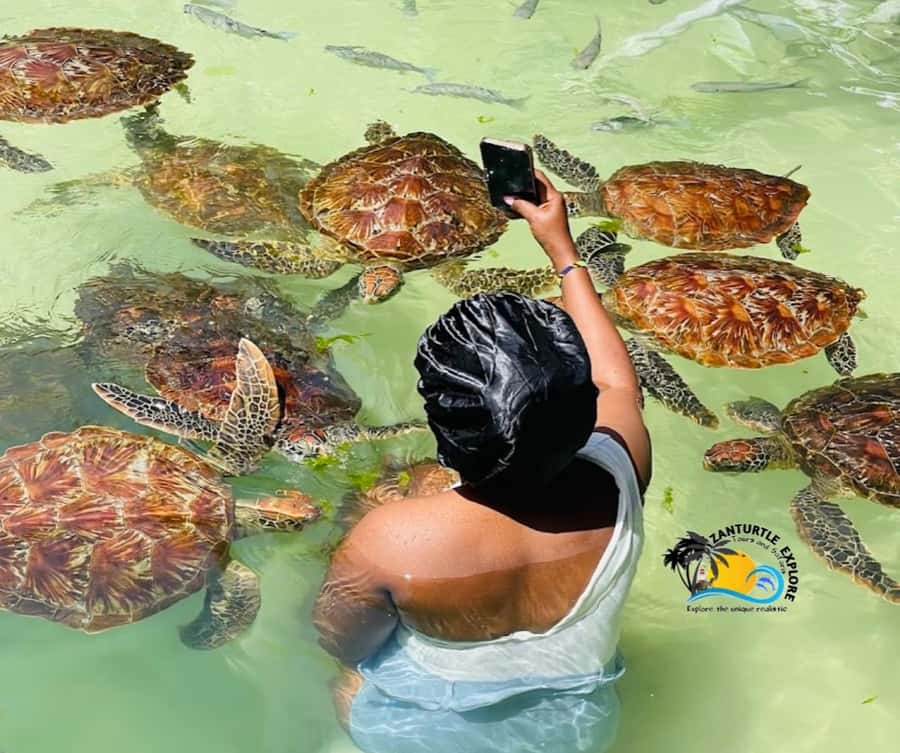 Nungwi: Swimming with Turtles at The Lagoons Zanzibar - Hotel pickup and the drive to The Lagoons Zanzibar