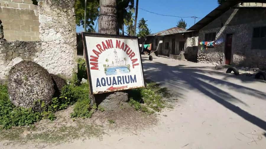 Nungwi Village Tour with Lunch and Optional Sunset Cruise - Pickup, timing, and the clothes rules that can surprise you