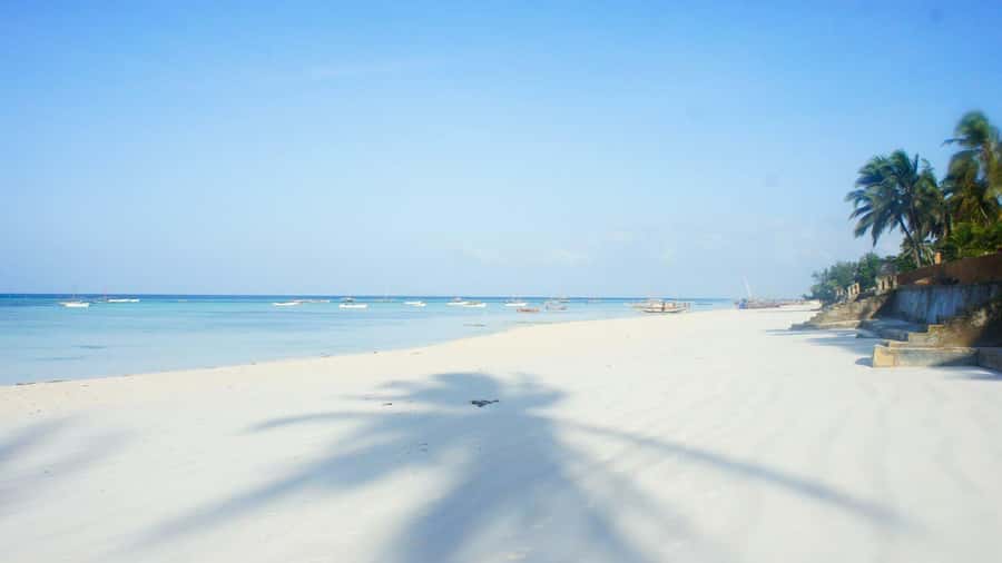 Nungwi Village Tour with Lunch and Optional Sunset Cruise - Mnarani Aquarium: green and hawksbill turtles in a tidal pond